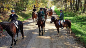 Junior fox hunters and horses waiting on dirt road