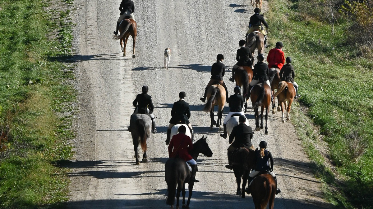 Fox hunters on gravel road